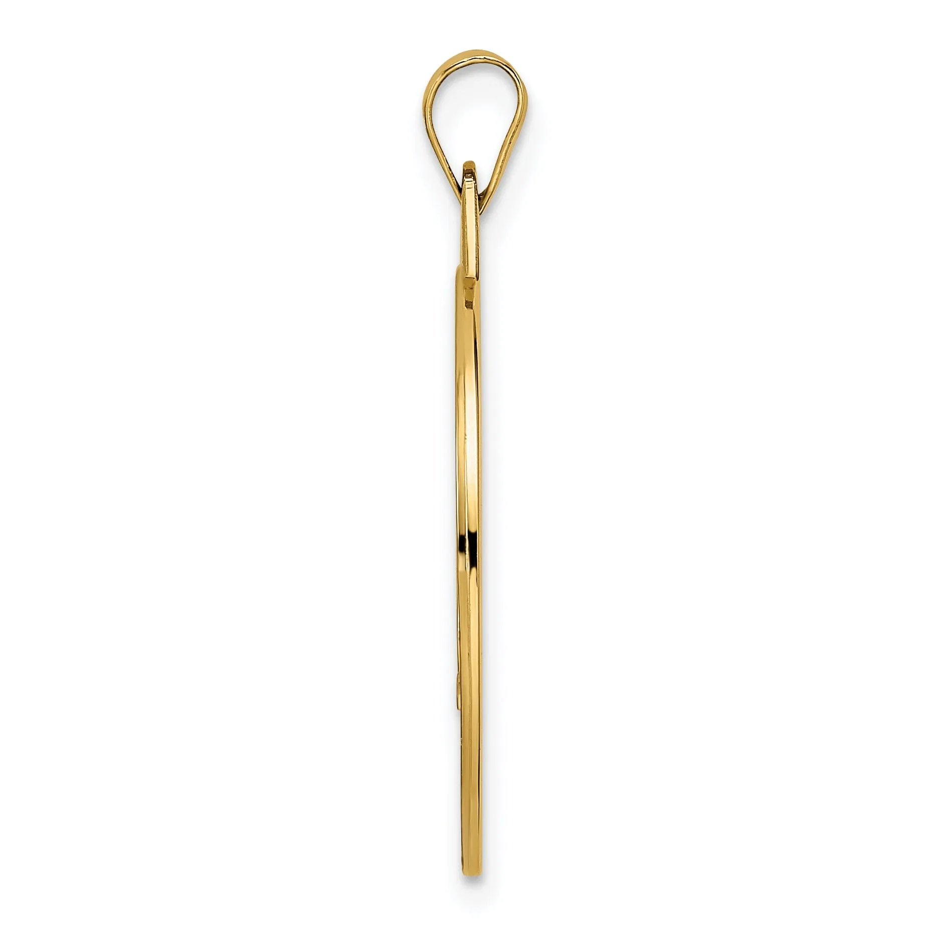 14k Yellow Gold Polish Textured Unisex Mazel Symbol Disc Shape Pendant