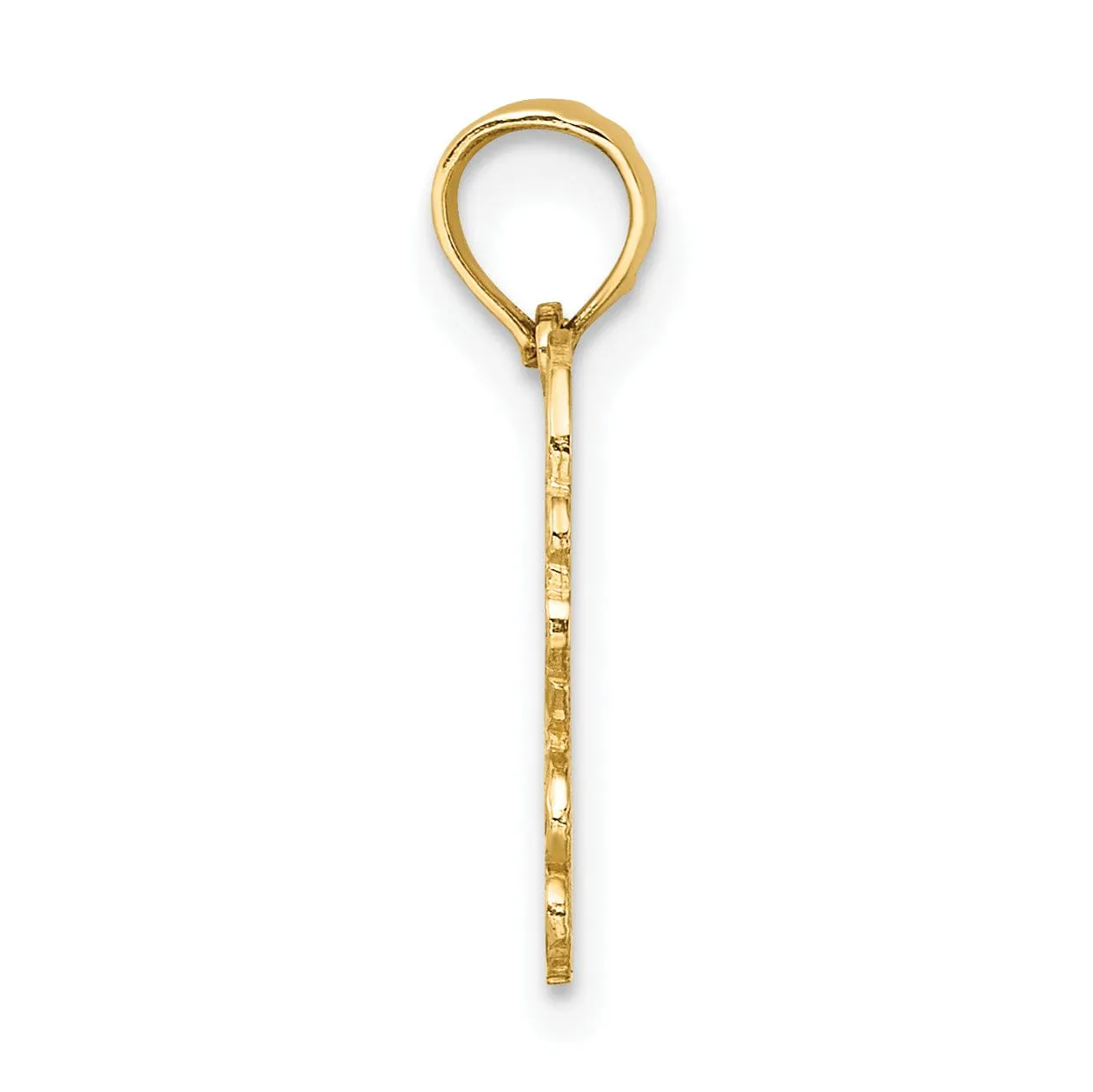 14K Yellow Gold Polished Textured Finish 100% Zodiac CANCER Charm Pendant