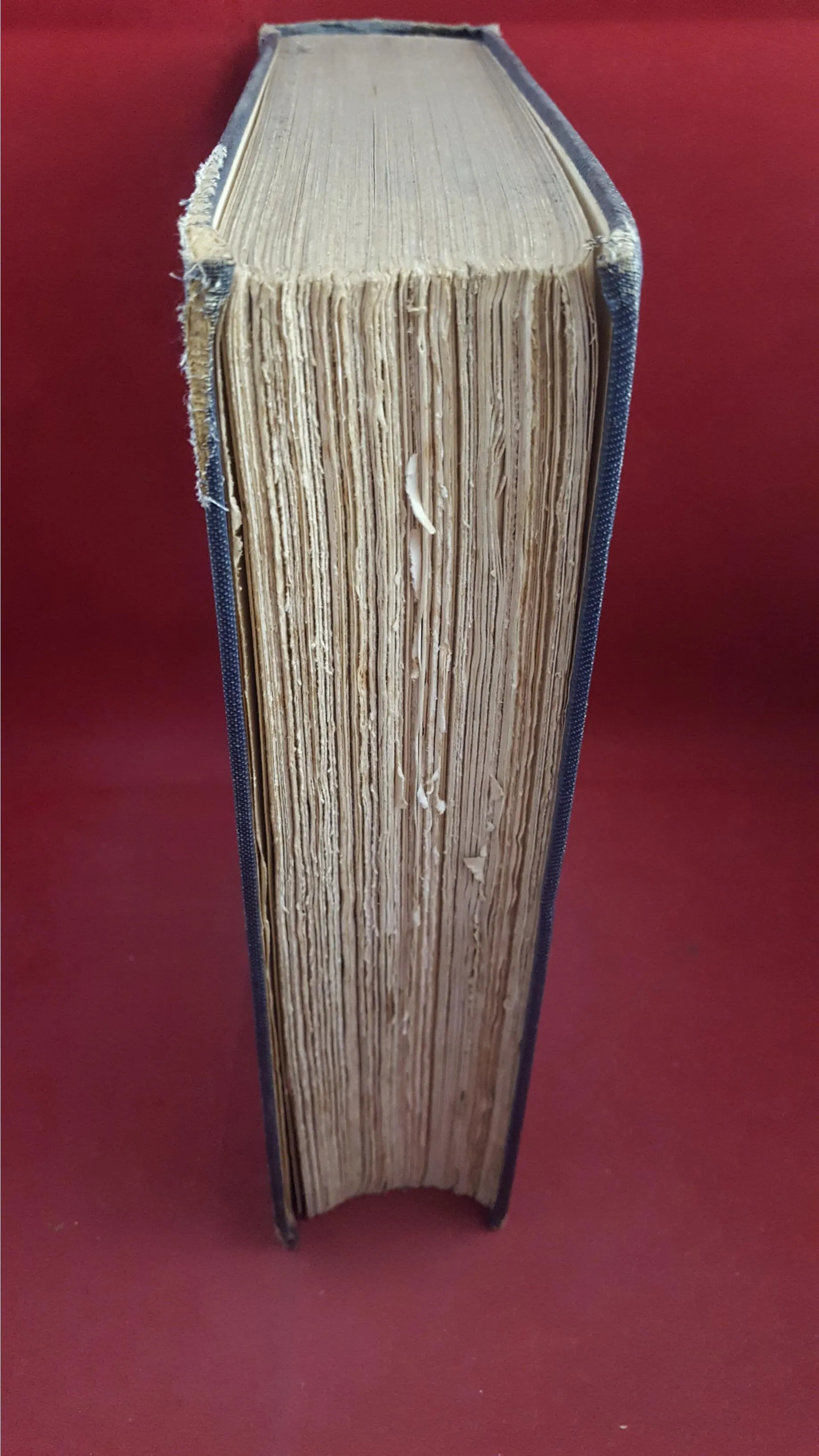 A Henry Savage-Landor - Everywhere Memoirs Of An Explorer, T Fisher Unwin, 1924