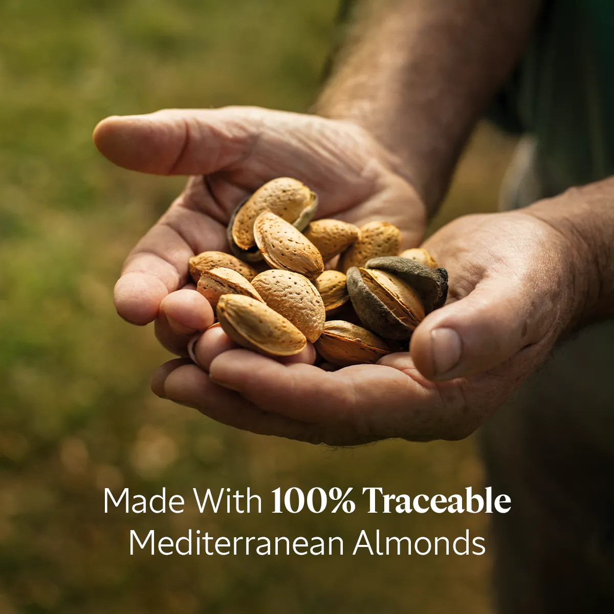 Almond Supple Skin Oil