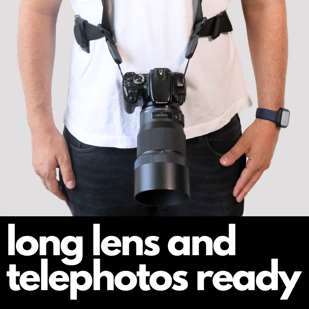 Camstrap Explorer