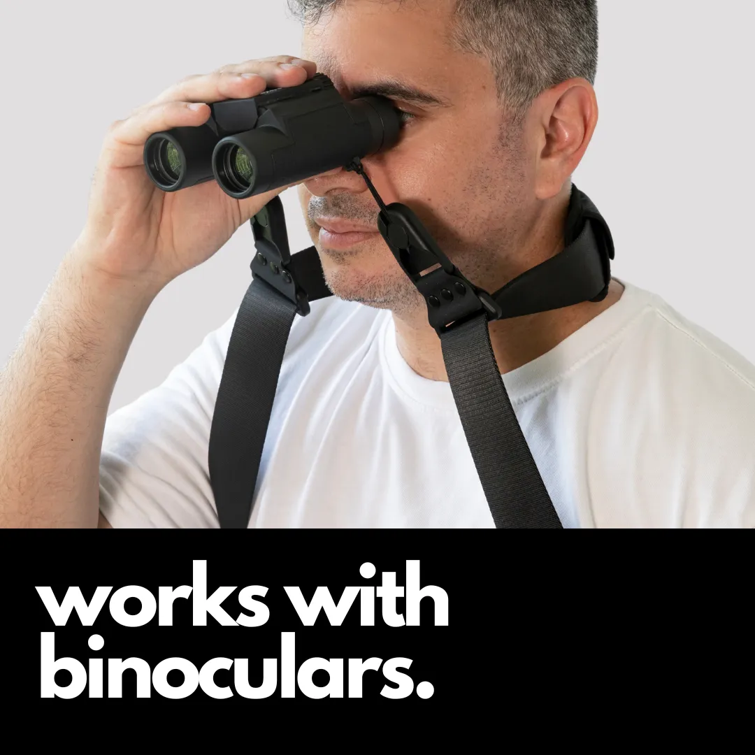Camstrap Explorer