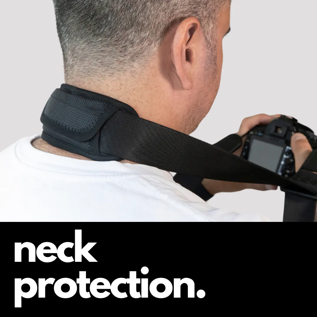 Camstrap Explorer