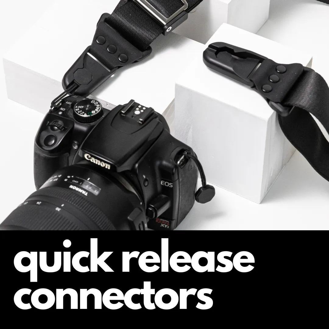 Camstrap Explorer