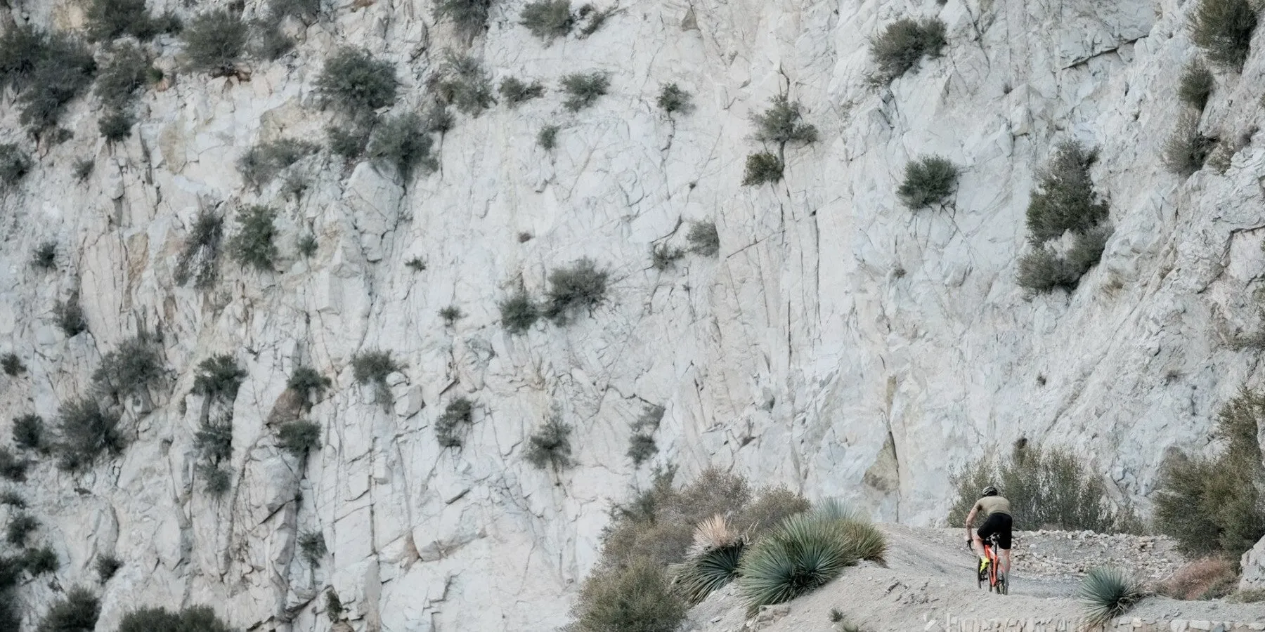 CANNONBALL - LIGHT & SUPPLE(TAN/650B)