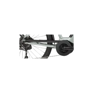 Cannondale Adventure Neo Chainguard