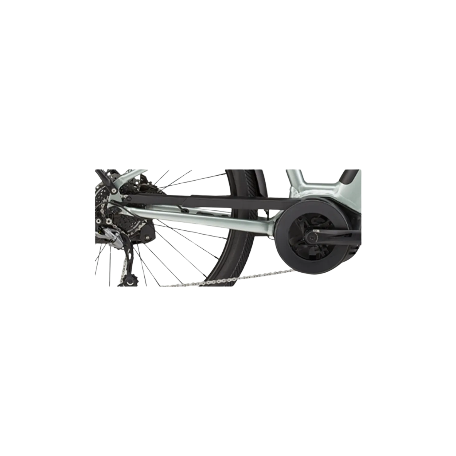 Cannondale Adventure Neo Chainguard