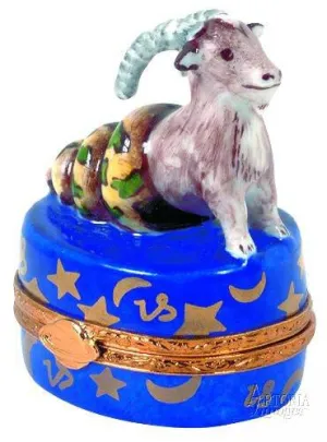 Capricorn Zodiac