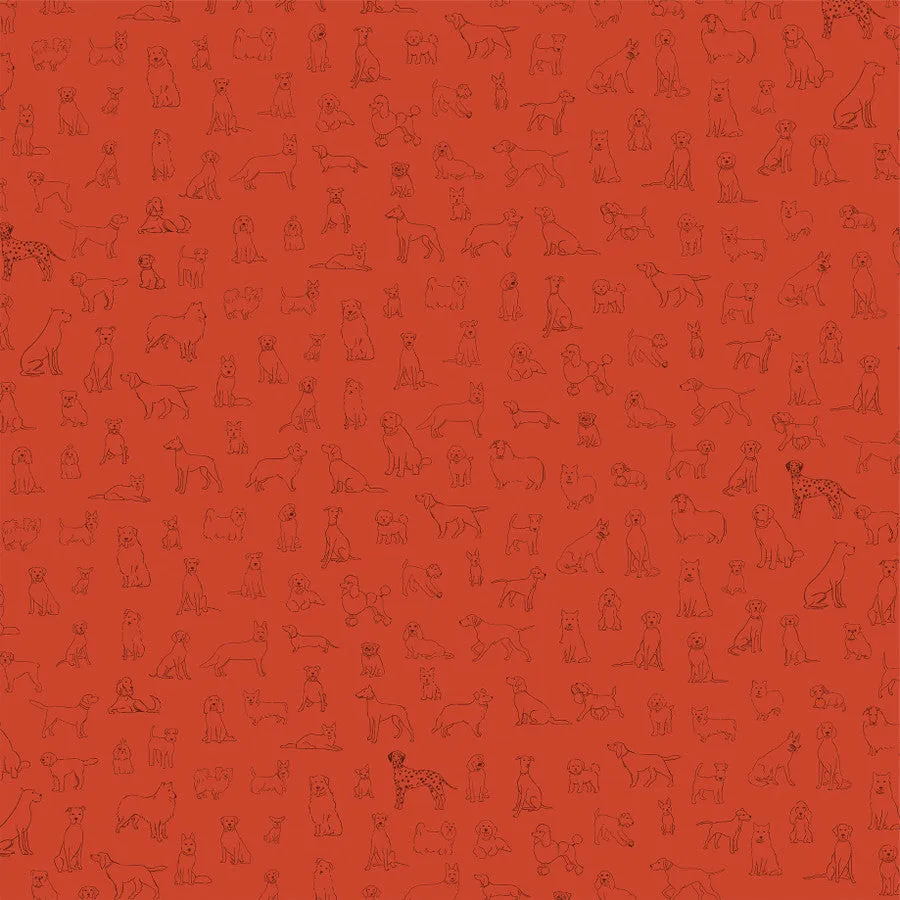 Carta Bella - Best In Show - 12x12 Single Sheet / Best In Show Plaid