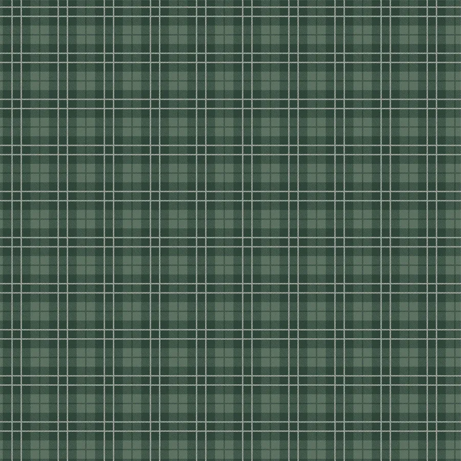 Carta Bella - Best In Show - 12x12 Single Sheet / Champion Plaid