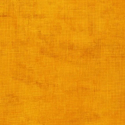 Chalk and Charcoal Marigold