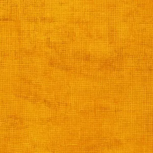 Chalk and Charcoal Marigold