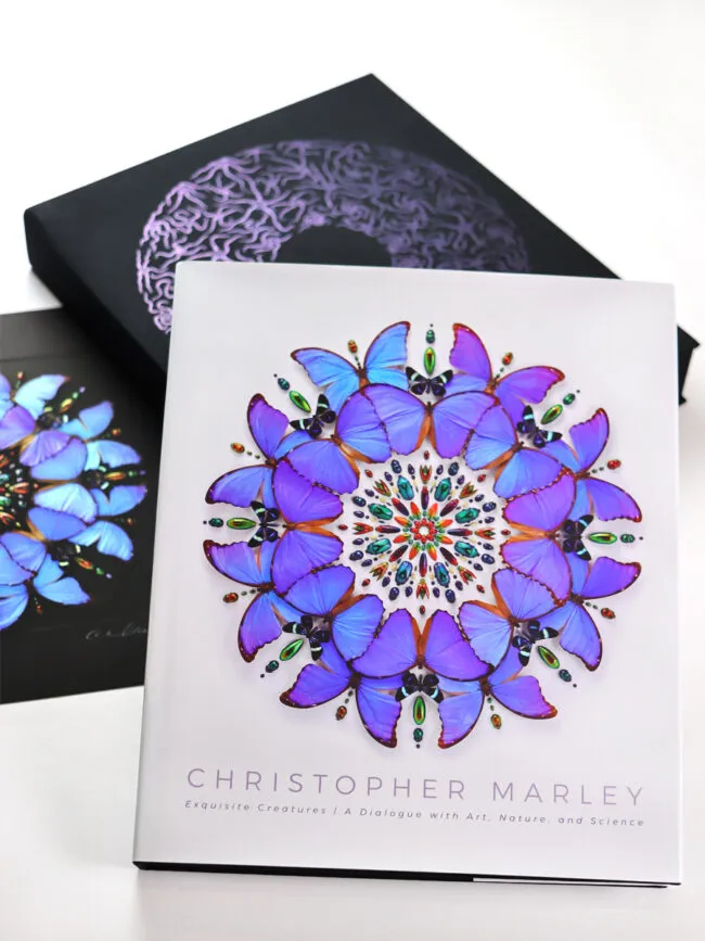 Christopher Marley Exquisite Creatures Hardcover