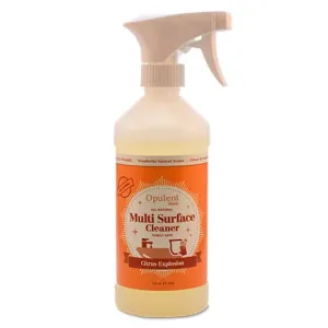 Citrus Explosion - All Natural Multi-Surface Cleaner