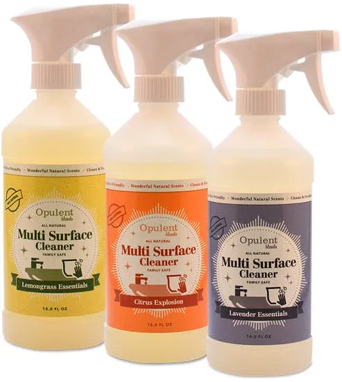 Citrus Explosion - All Natural Multi-Surface Cleaner
