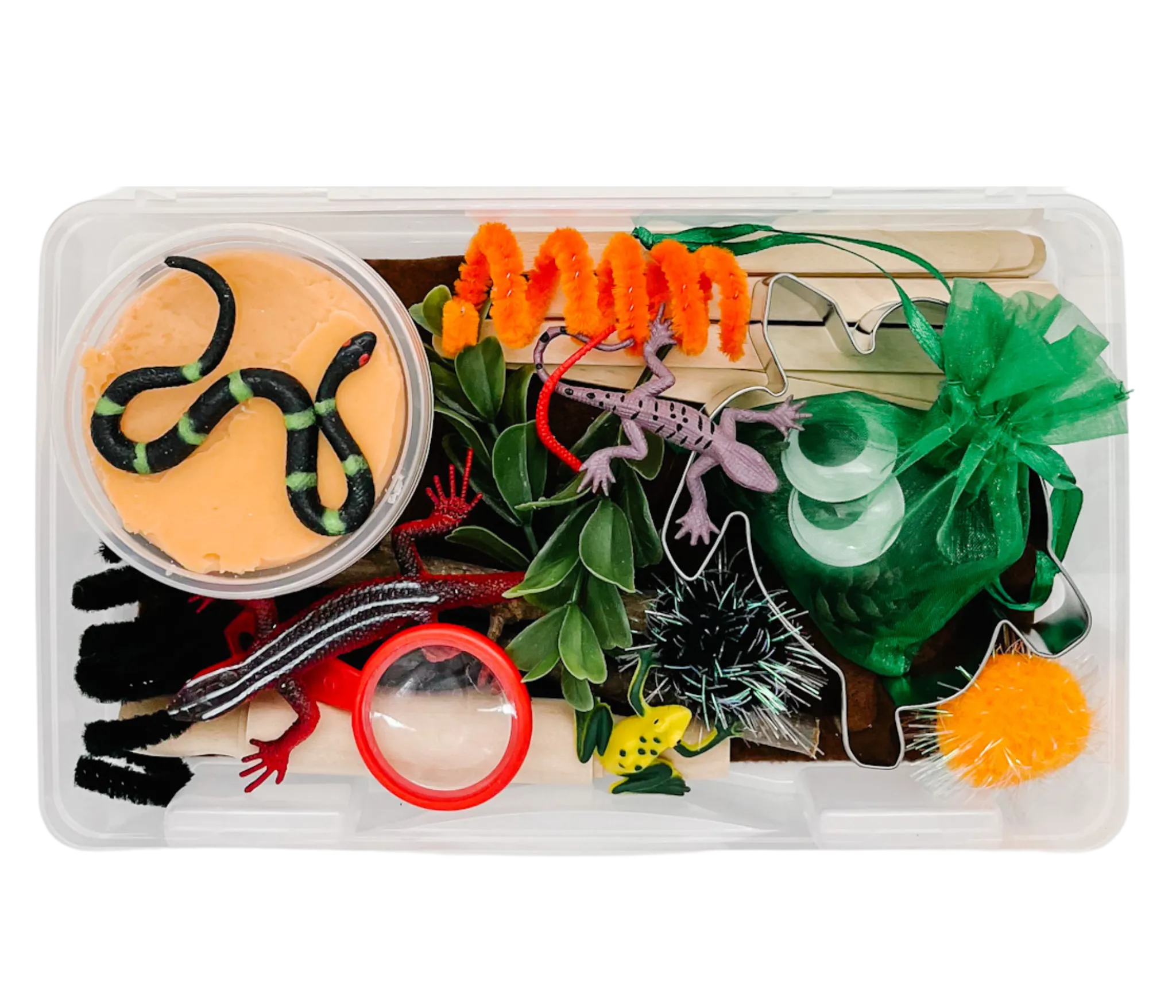 Creepy Crawly Mini Bin