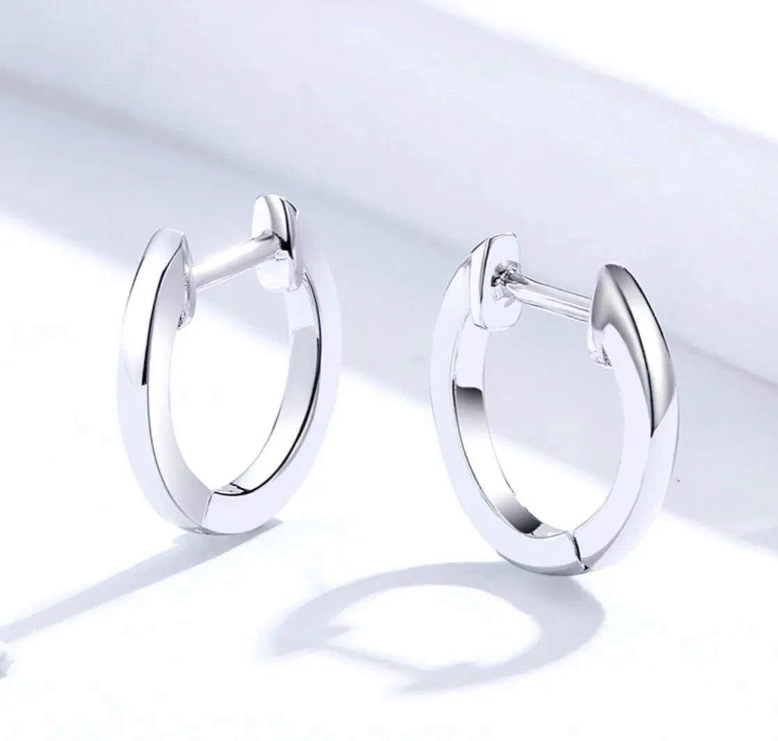 Cycolinks 925 Sterling Silver Exquisite Earrings