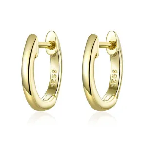 Cycolinks 925 Sterling Silver Exquisite Earrings