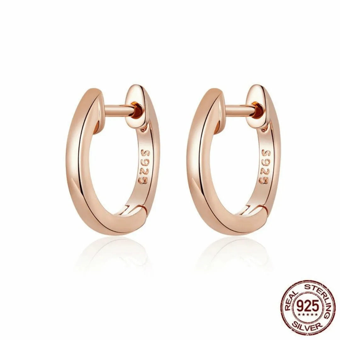 Cycolinks 925 Sterling Silver Exquisite Earrings