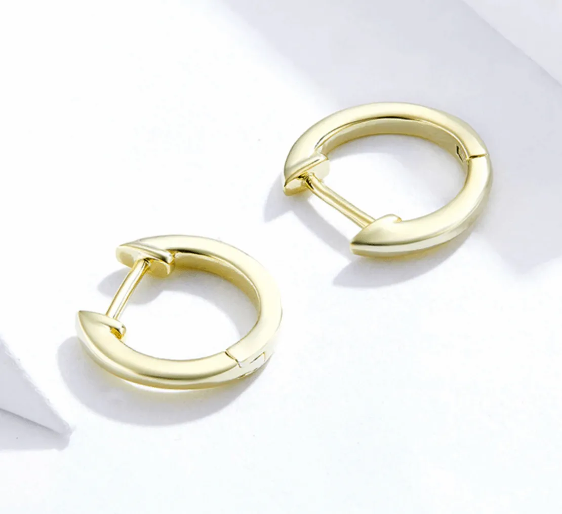 Cycolinks 925 Sterling Silver Exquisite Earrings