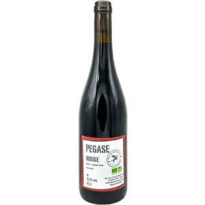 Domaine de L'Epinay Pegase Rouge 2021