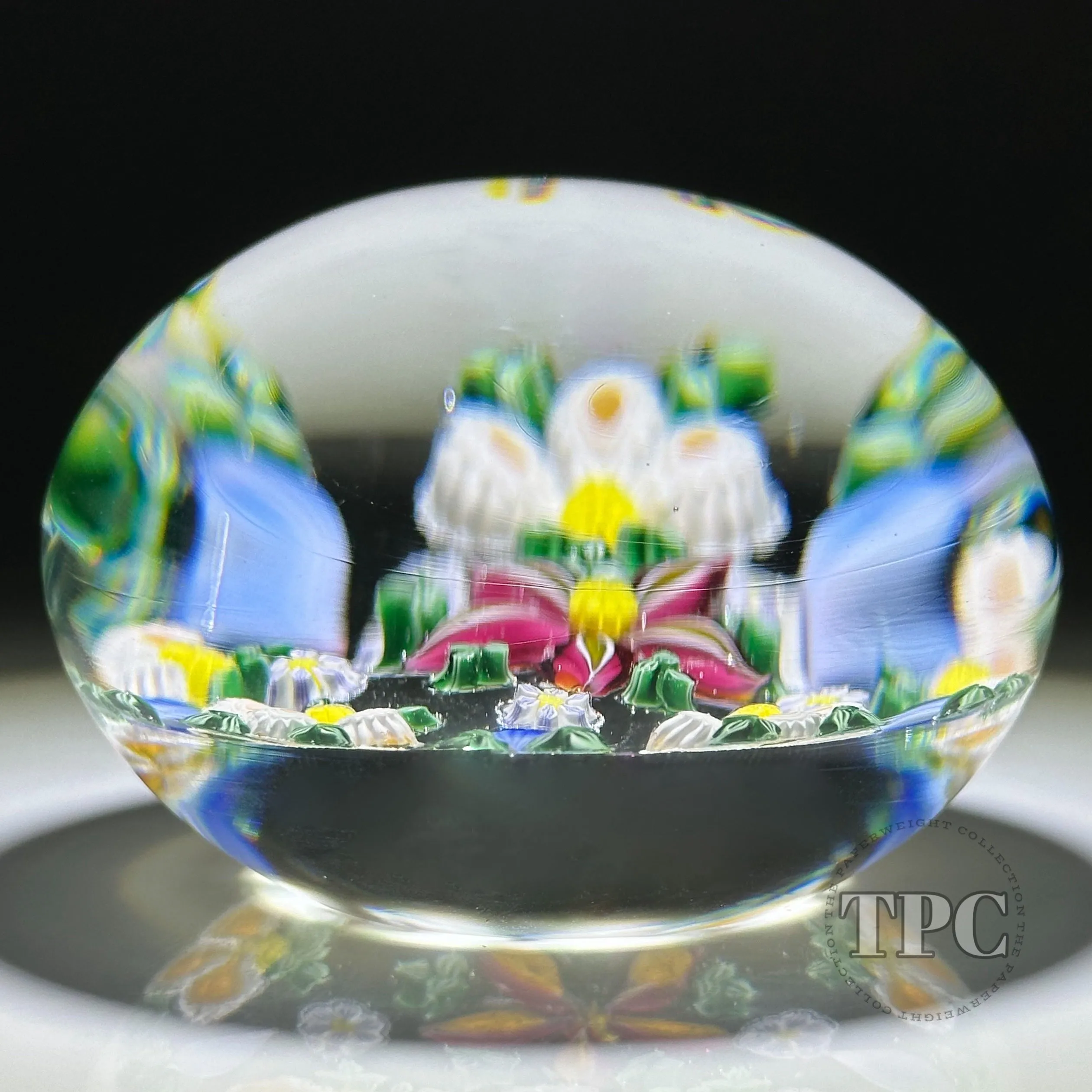 Drew Ebelhare & Sue Fox 2017 Glass Art Paperweight Patterned Flamework & Complex Millefiori