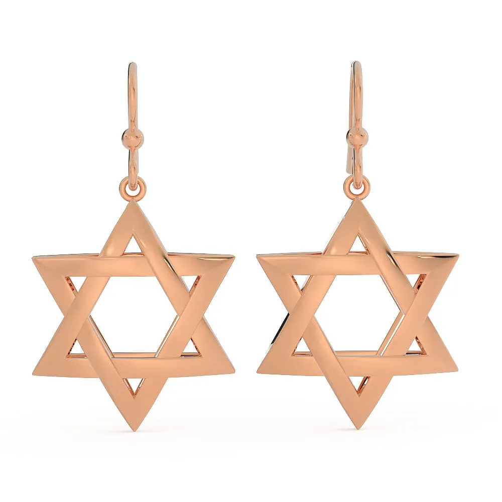 Exquisite 3D Star of David Earring
