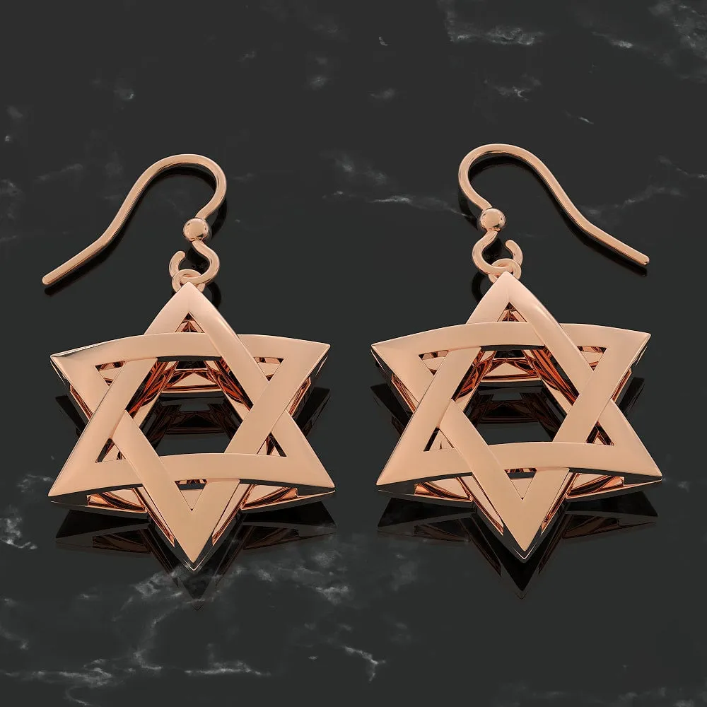 Exquisite 3D Star of David Earring