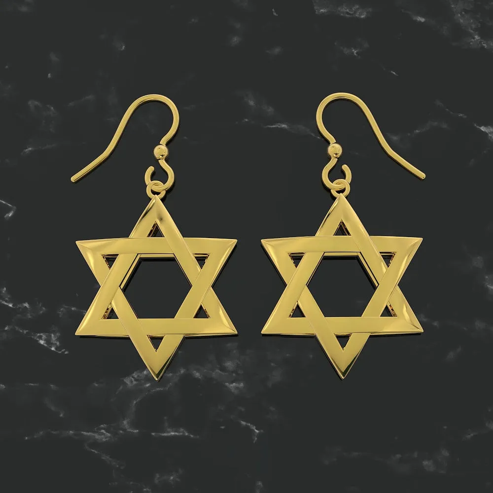 Exquisite 3D Star of David Earring