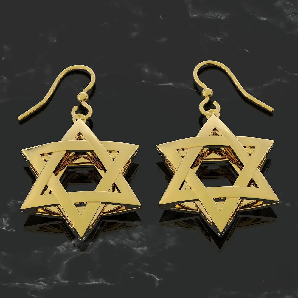 Exquisite 3D Star of David Earring