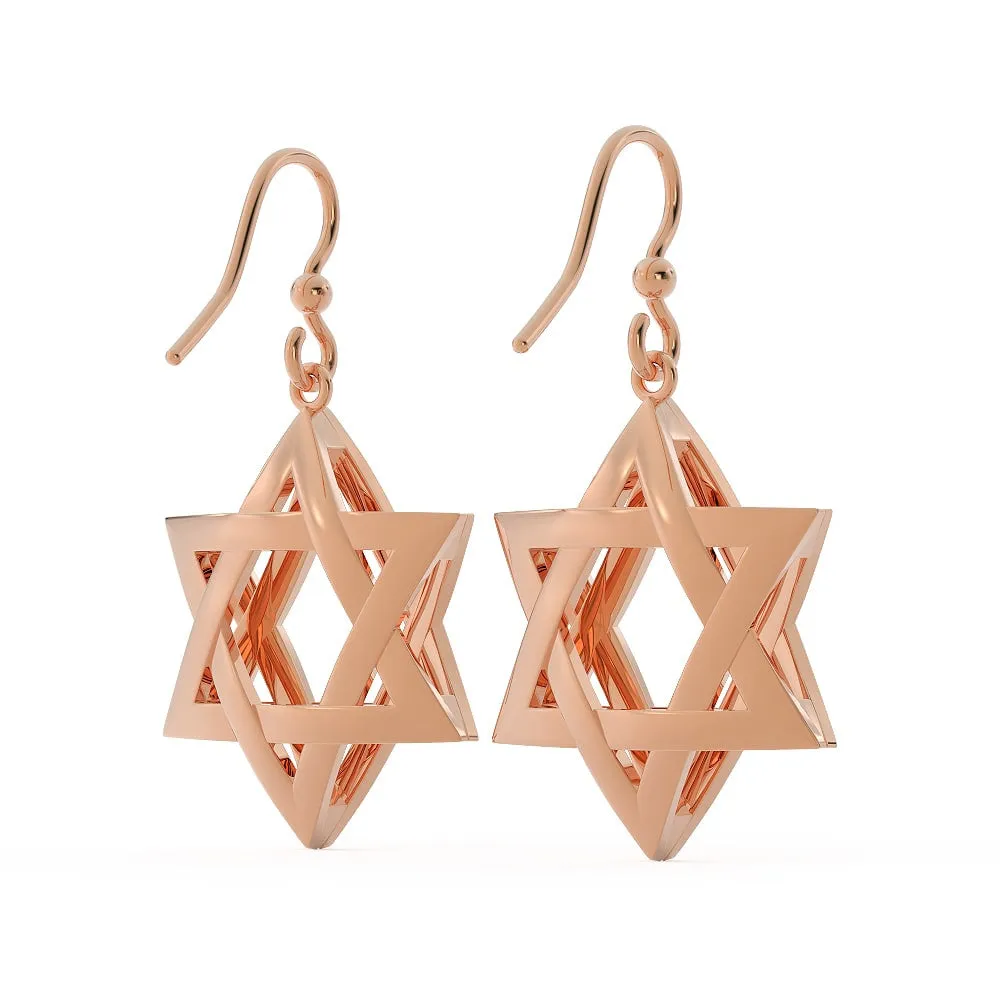 Exquisite 3D Star of David Earring