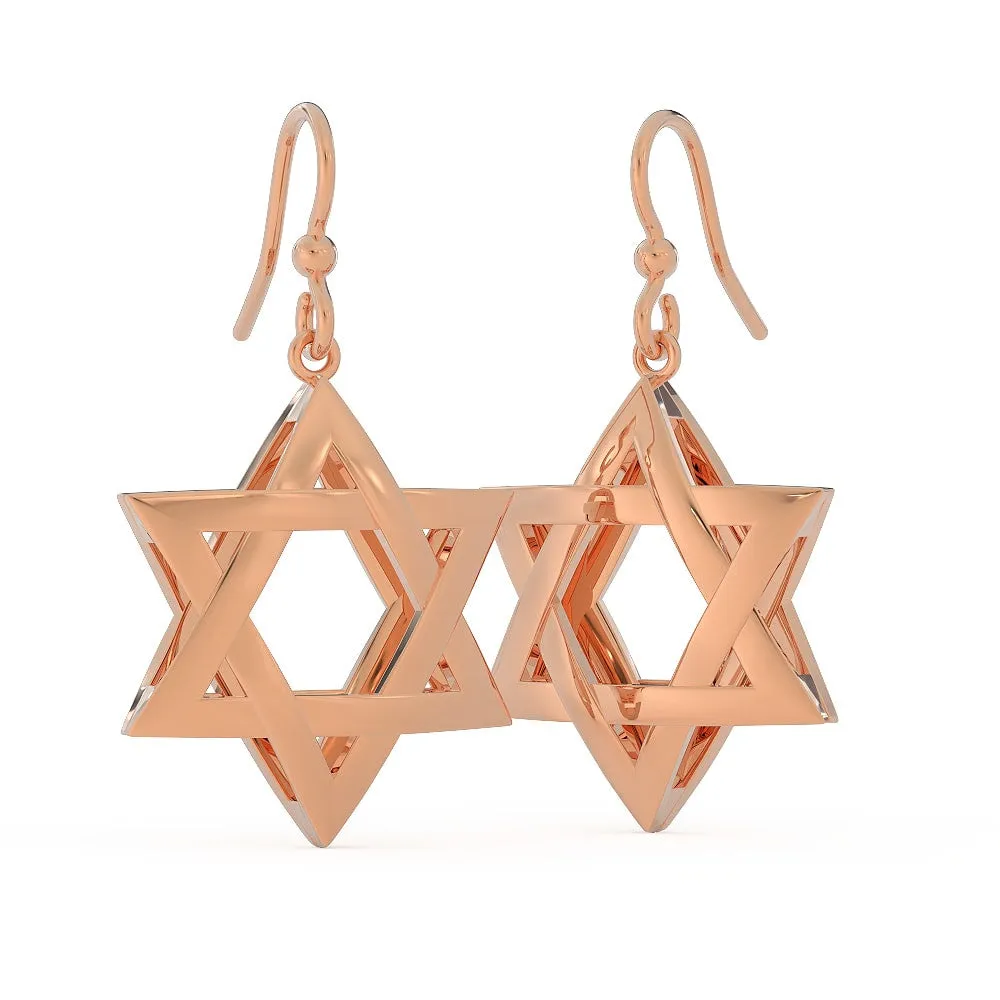 Exquisite 3D Star of David Earring