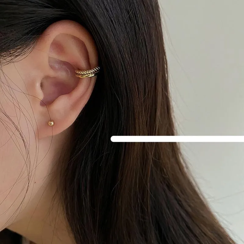 Exquisite Ear Clips