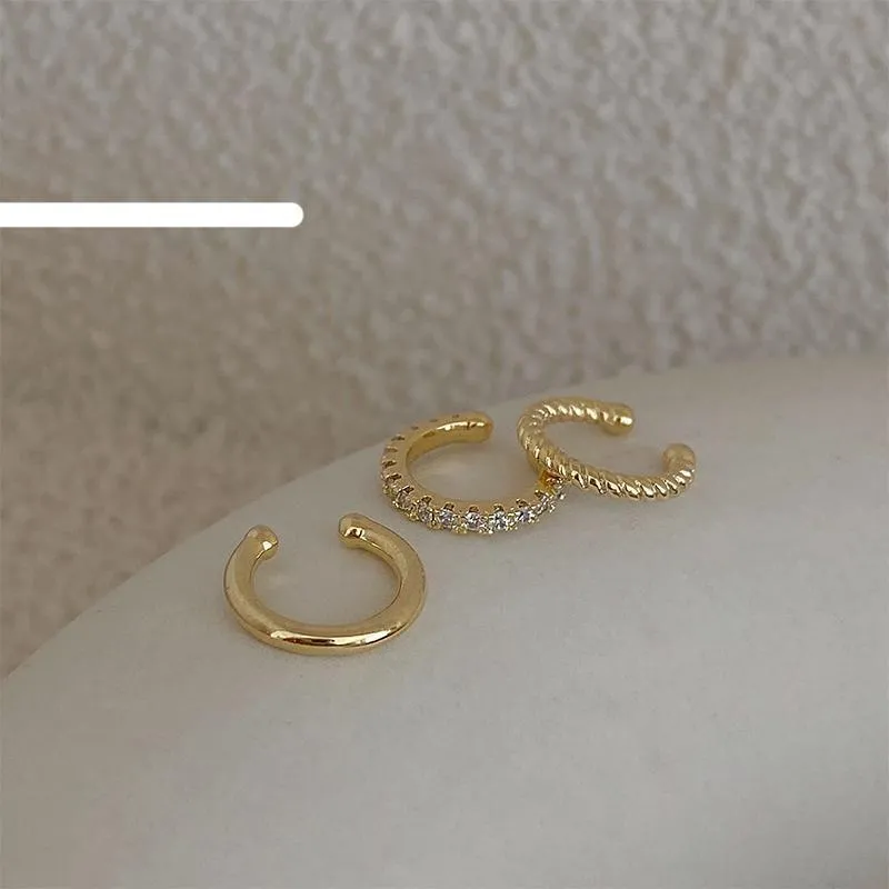 Exquisite Ear Clips