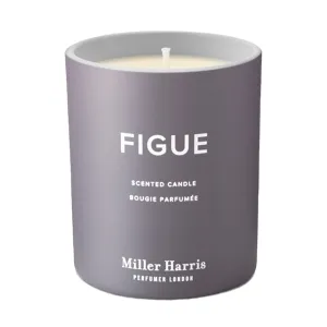 Figue Candle