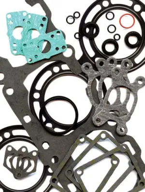 Gasket Set S/M S-D 600 Rs