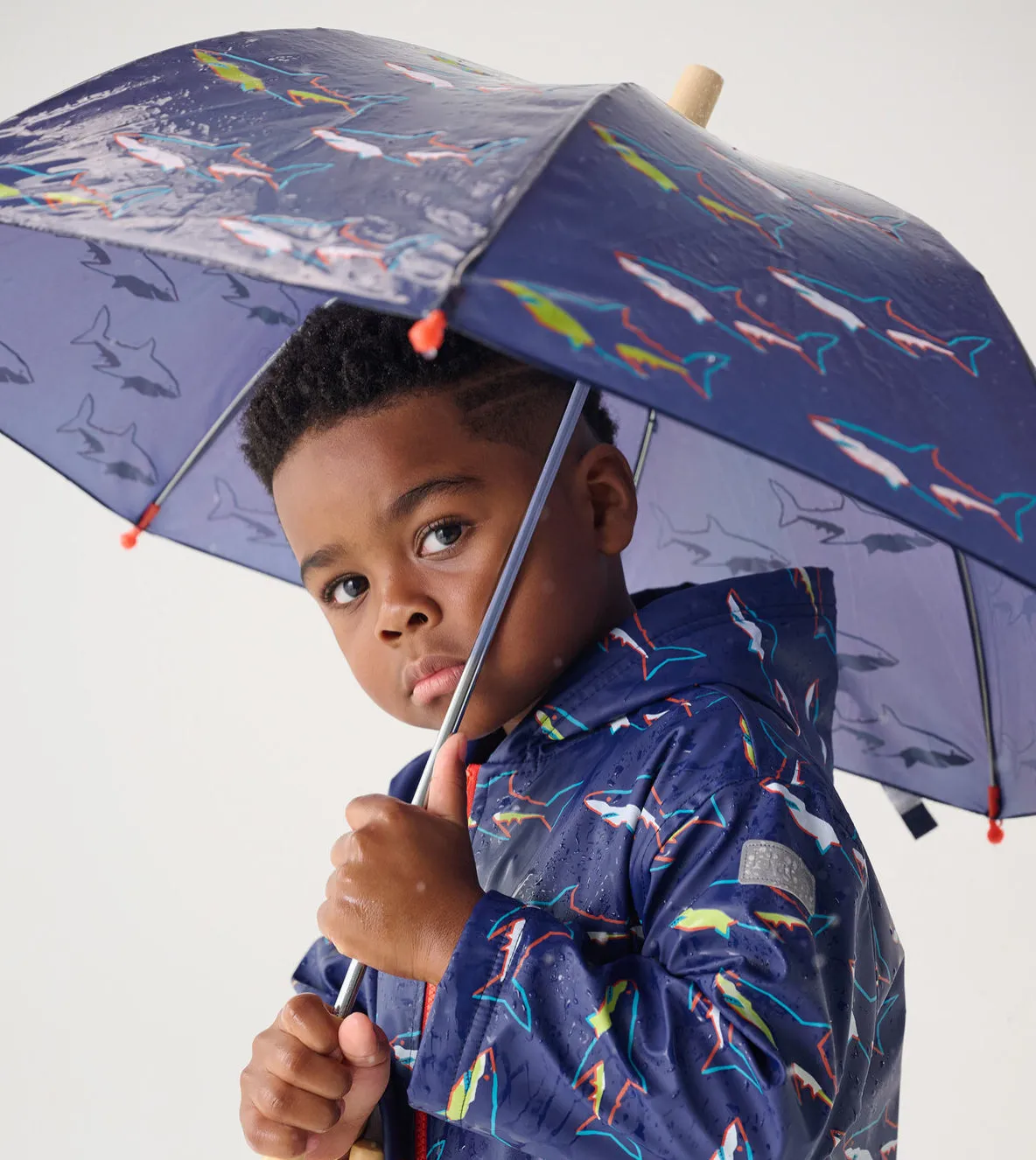 Hatley Shark Umbrella S24rsk021