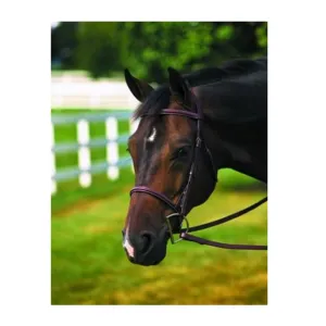 HDR Plain Raised Bridle - Free Name Tag