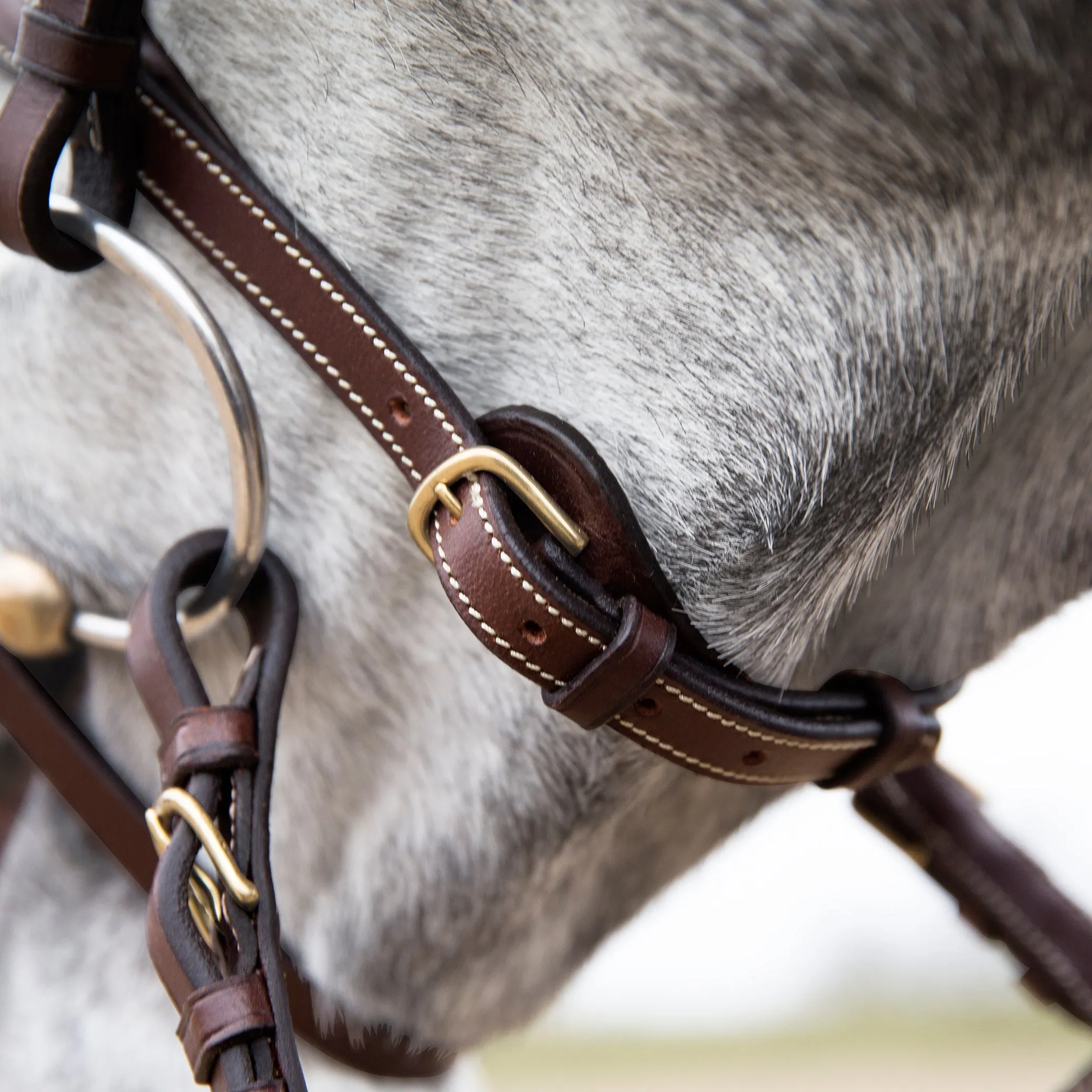 Horze Constance Hannovrian Bridle Brown