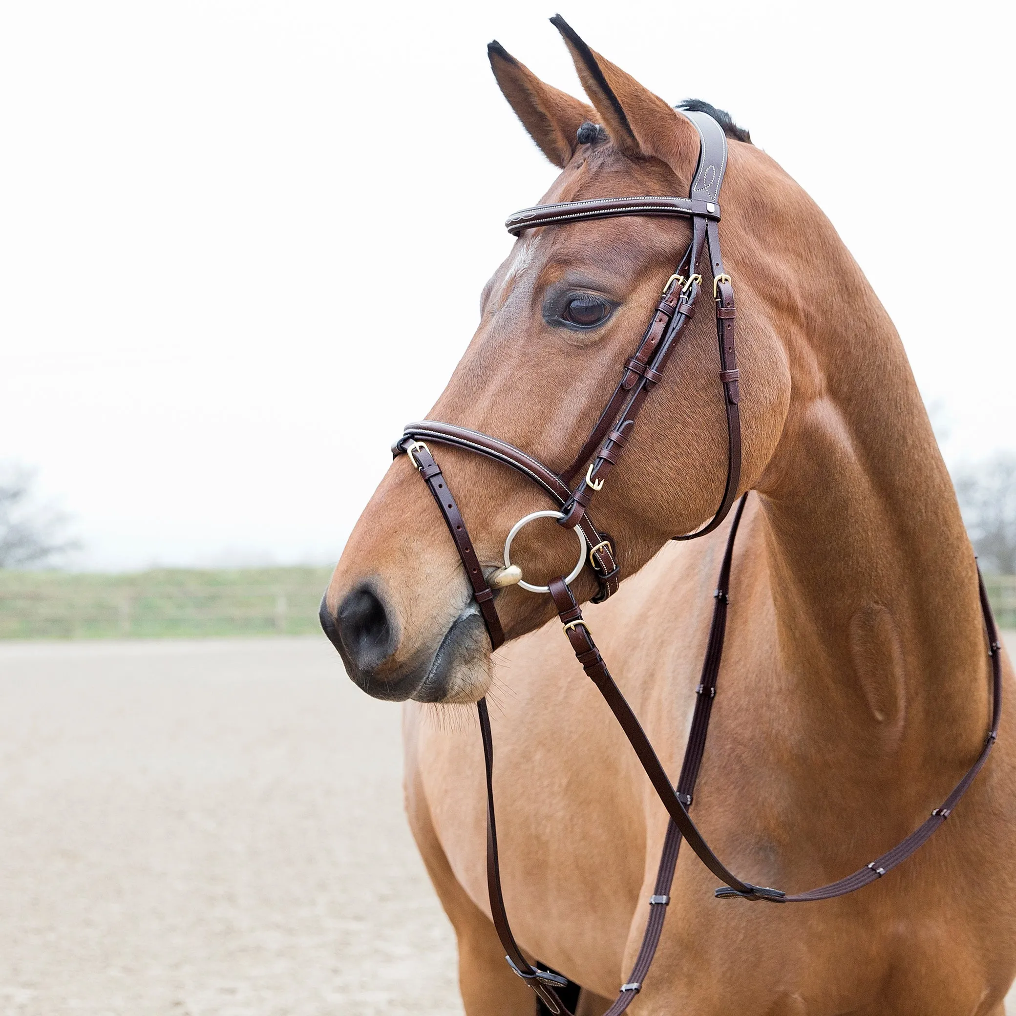 Horze Constance Hannovrian Bridle Brown
