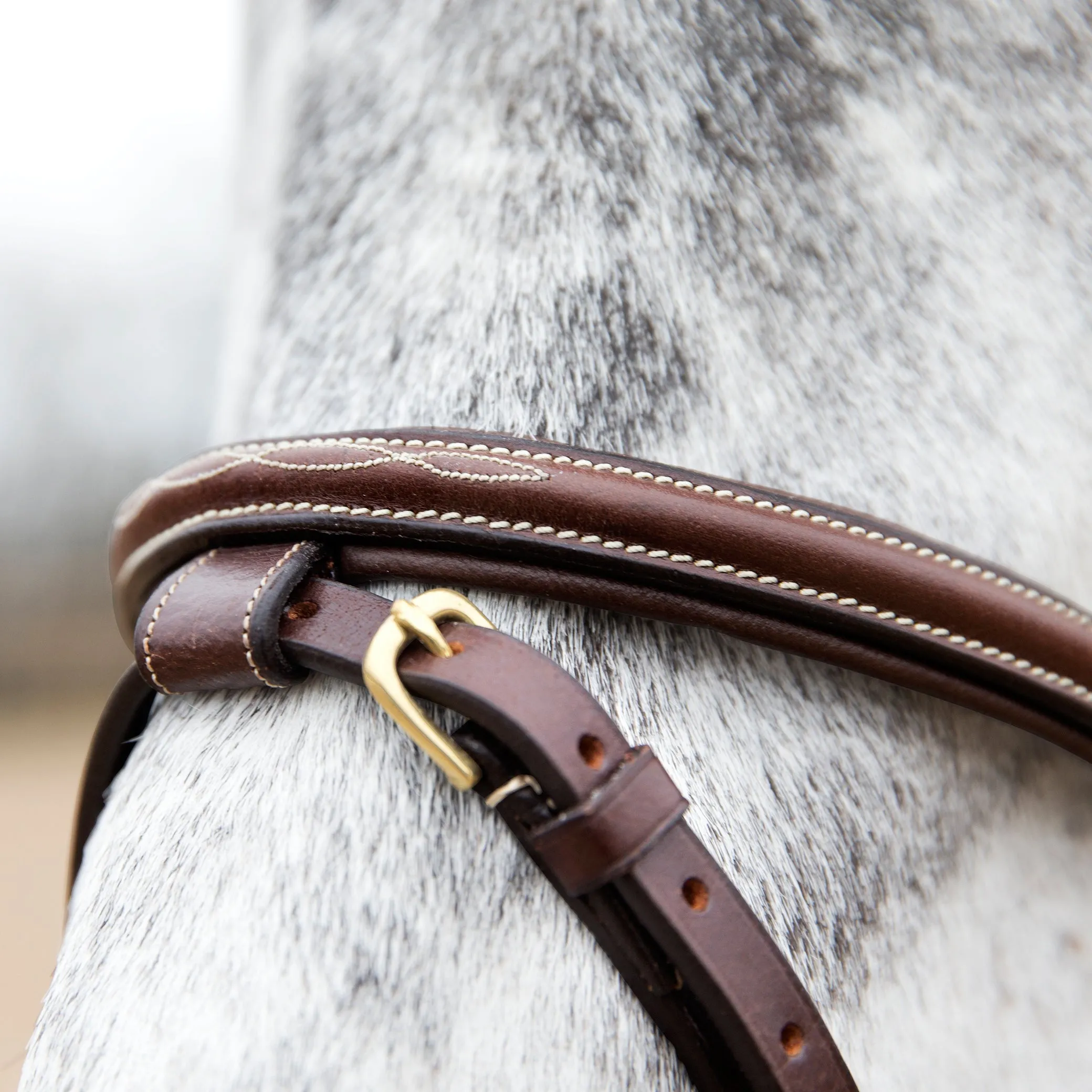 Horze Constance Hannovrian Bridle Brown