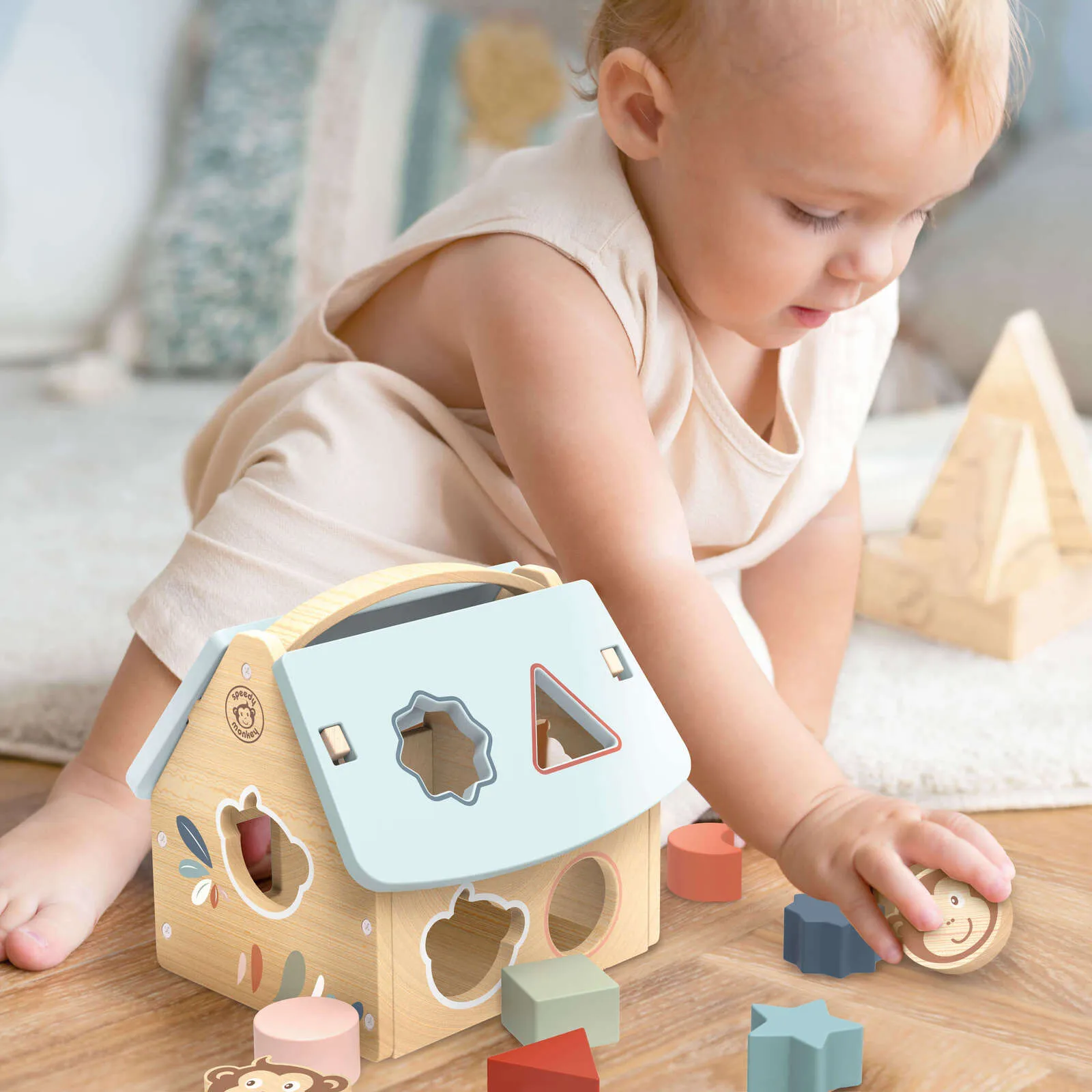 House Shape Sorter with 8 Blocks - 12M 