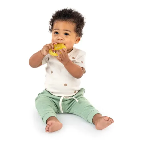 Ingenuity Cool Bite Water Teether - Bomby