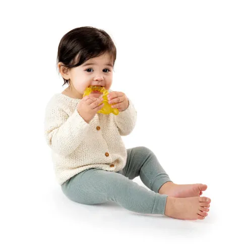 Ingenuity Cool Bite Water Teether - Bomby