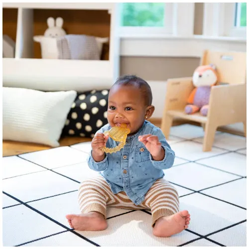 Ingenuity Cool Bite Water Teether - Bomby