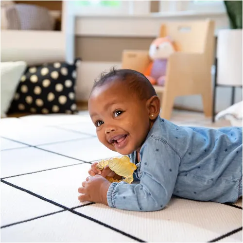 Ingenuity Cool Bite Water Teether - Bomby