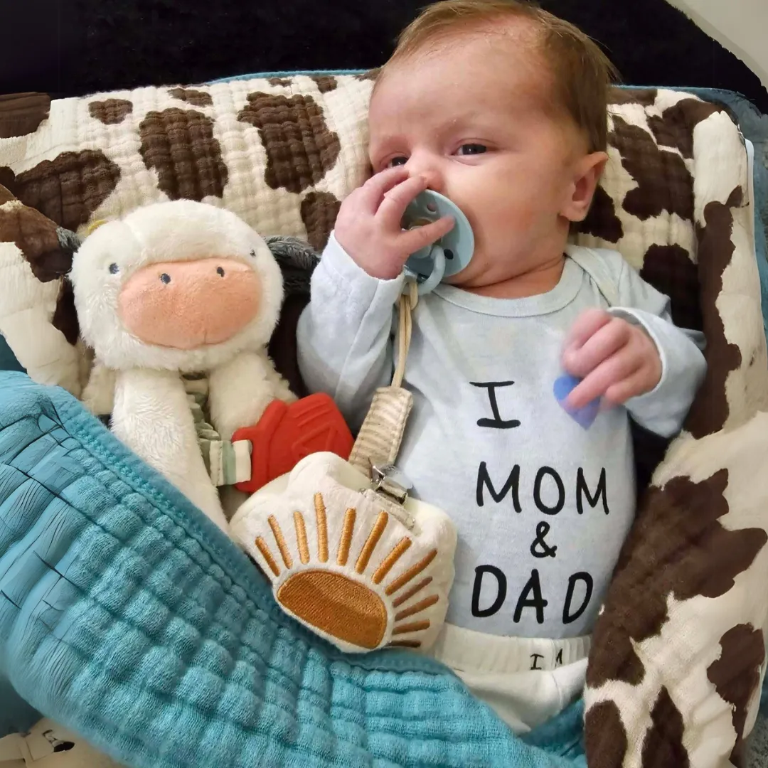 Itzy Lovey™ Plush and Teether Toy
