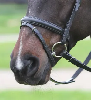Kincade Flash Noseband