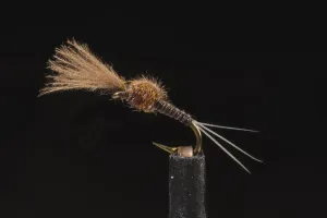 Kyles Deletidium Emerger #18