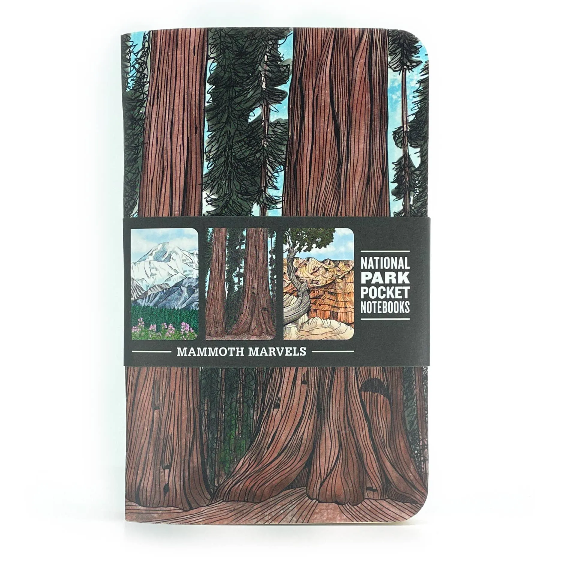 Mammoth Marvels Pocket Notebooks